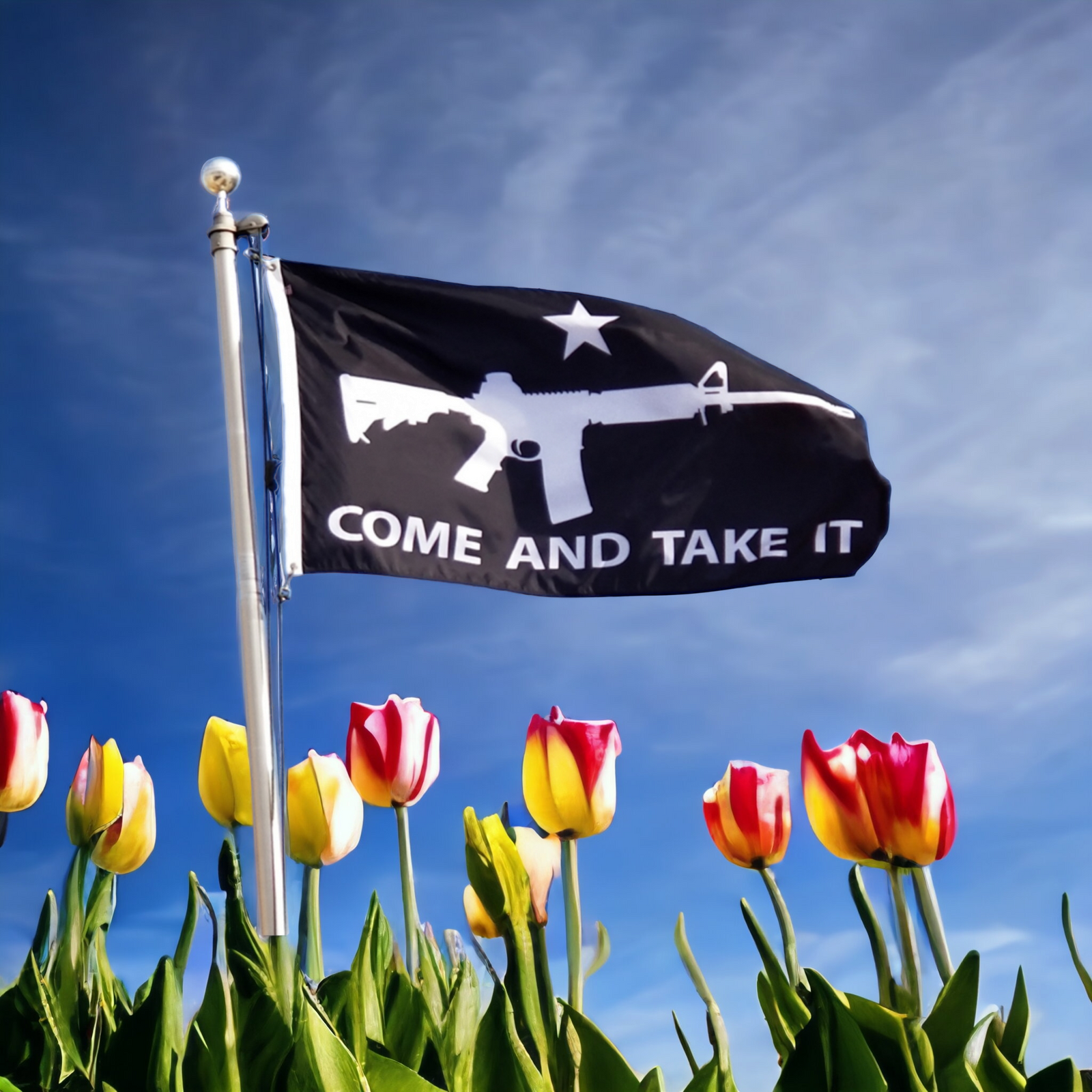 Come and Take It Flag (Black)